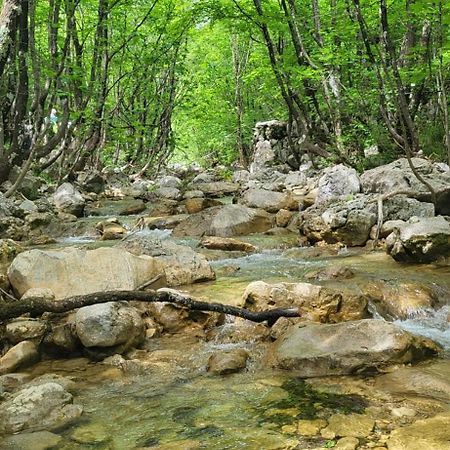 Apartmani Centar Seline Paklenica Buitenkant foto