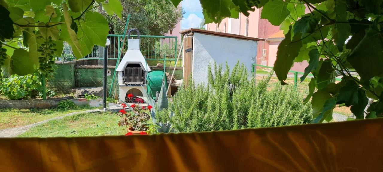Apartmani Centar Seline Paklenica Buitenkant foto