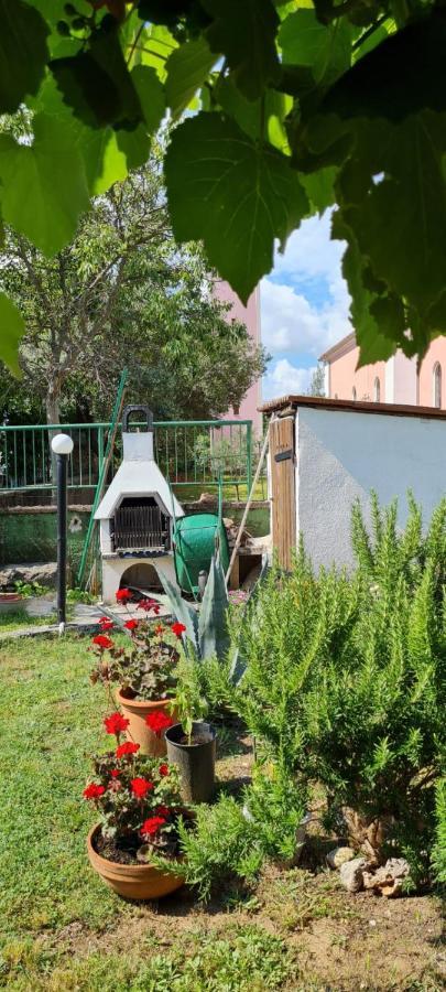 Apartmani Centar Seline Paklenica Buitenkant foto